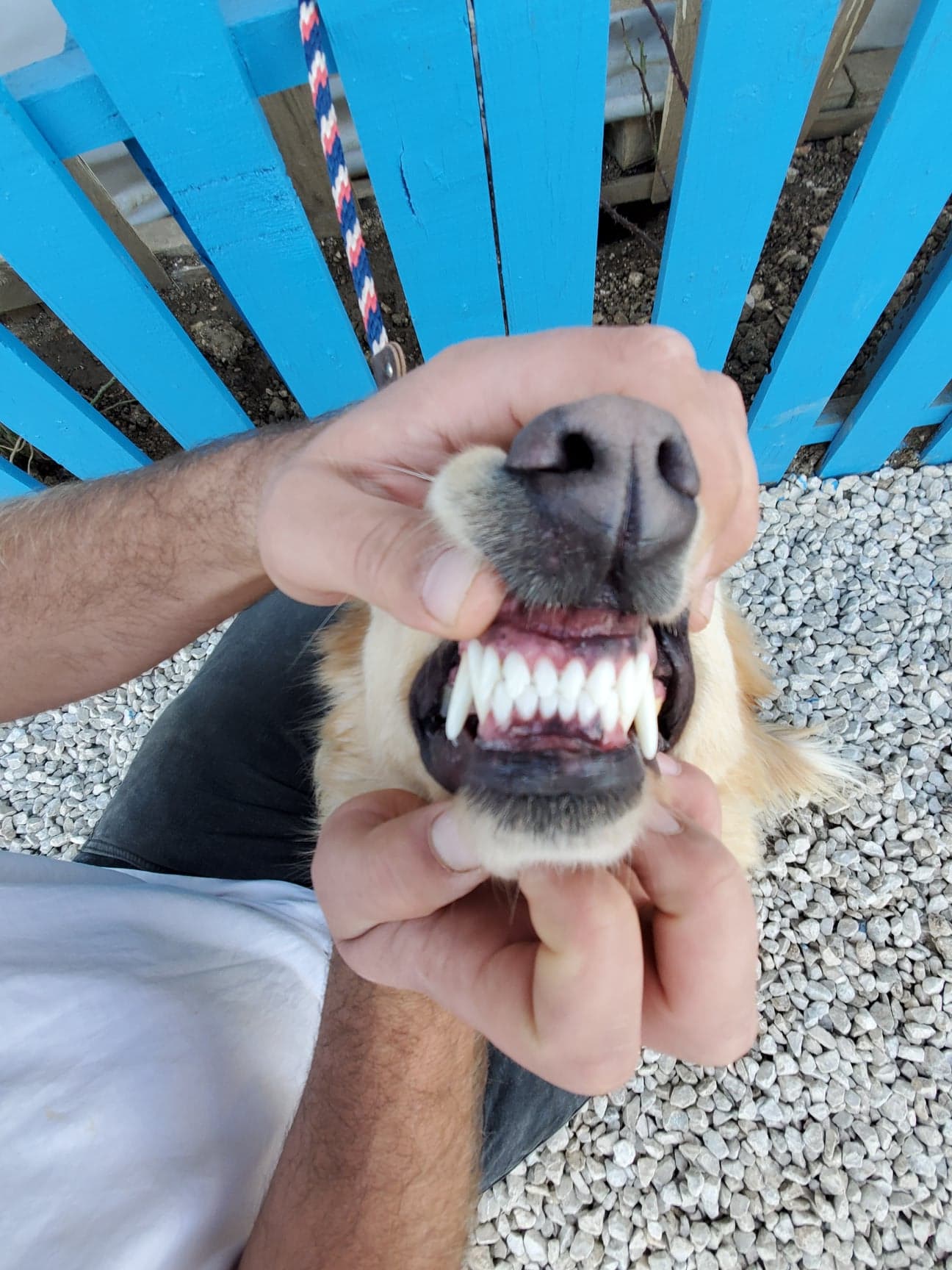 Ruthie (fka Parsley) 